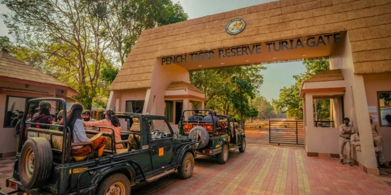 Pench National Park
