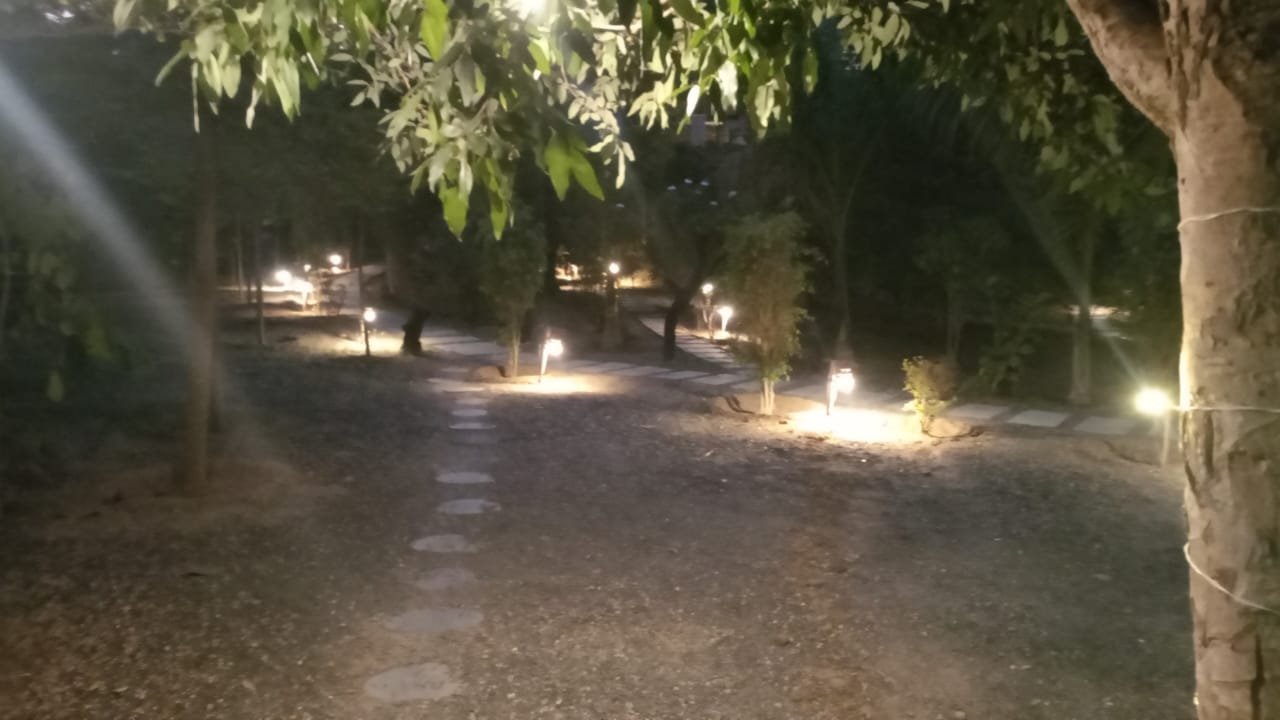 ONE DAY PICNIC OFFER