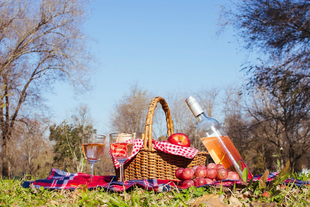 ONE DAY PICNIC OFFER